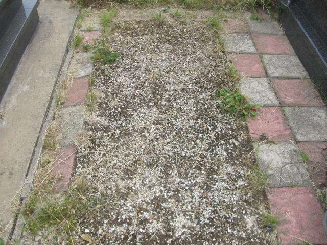 Andrzej Winkiel 1949 Myszków - Grobonet - Wyszukiwarka osób pochowanych