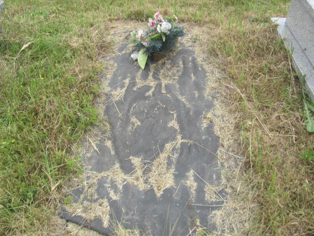 Zygmunt Kamiński 1937 Myszków - Grobonet - Wyszukiwarka osób pochowanych